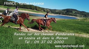 28K views · 1.1K reactions | Cavaliers sportifs, voilà ce qui vous...