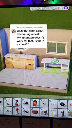 sahm and bean on TikTok