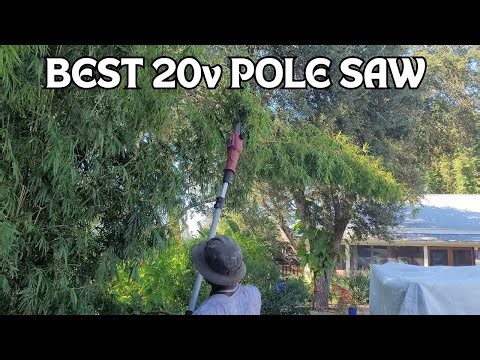 20V Bauer Pole Saw – My Honest Review After Using It