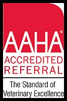 Facility Tour - IndyVet - Take a Virtual Facility Tour Today!