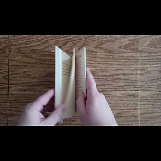 The Snow Goose by Paul Gallico 📖 A Quiet Classic You’ll Never Forget