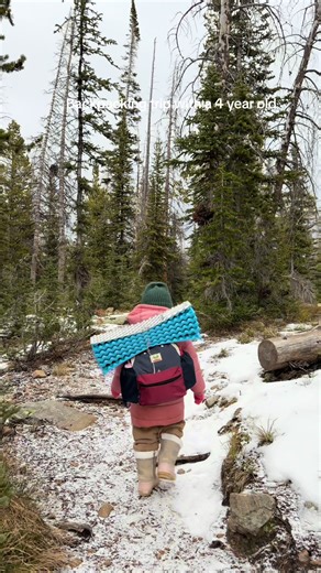 If anyone asks why I love adventuring with our kids… this video sums it all up. ☺️ Tiny explorer, little feet, endless giggles. My heart. . . . #familyadventures #🏔 #mountainlovers #adventurekids #backpacking