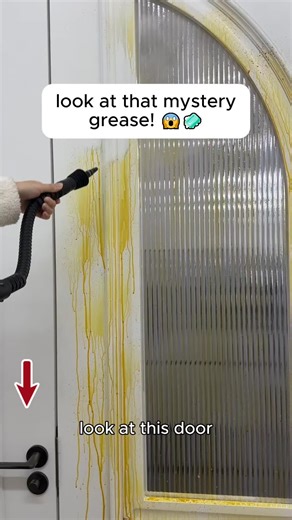 Steam Cleaner: Your New Year’s Cleaning Solution!