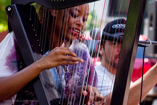 Grand Harpsicle® Harp — Harpsicle® Harps