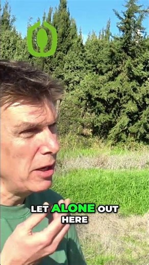 Building Your Dream Home in Spain? Why Eco Vida Homes Is The Partner You Need!