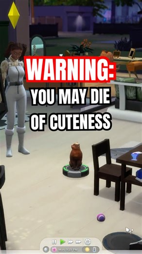 POV: You’re a Cat in The Sims 4 #thesims4 #sims4 #simscat #cats