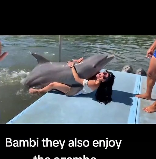 Dolphin Interaction: Woman and Dolphin Connection
