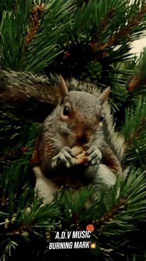 When Cute Meets Metal! 🤘 Chipmunk Band Rocking Out in the Rain (AI Animation)