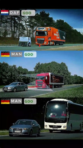 MAN Bus vs DAF vs Man Truck