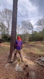 2K views · 302 reactions | Que clase de corte!!﫵 Humbe Ortiz#treeclimbing #treeservice #motivated #treeclimber #SalirAdelante #COMPARTAN Ronald Chad Ferguson Gonzalez Ale Jesus Moreno Joel Carbajal Banda’s Tree Service And Lawn Care Carlos Diaz Alpuche @followers Rafael Ramirezñ Javier Monteagudo Elmer Altamirano Manuel J Salto Real Tree m&w落酪 tree job's | Humbe Ortiz | Facebook