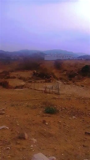 Shambel Much على TikTok