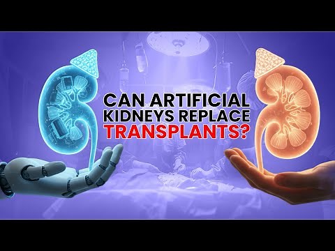 Can an Artificial Kidney Replace a Kidney Transplant? Truth & Future Explained