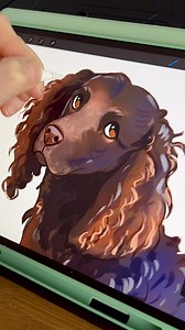 10K views · 299 reactions | Day 26: American Water Spaniel! 殺 #doggust2025 #doggust #dogdrawing #digitalart | Lorna Kelleher Art | Facebook