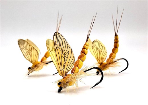 3 Pieces - Realistic Mayfly (sulphur) - MAY FLY - Size #12-#20 (barbless/barbed) Fly Fishing - Fishing Lures - Bright Yellow & Brown - Etsy