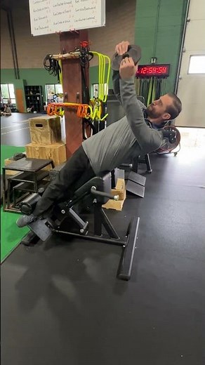 45 Degree Back Extension Weighted Rotations