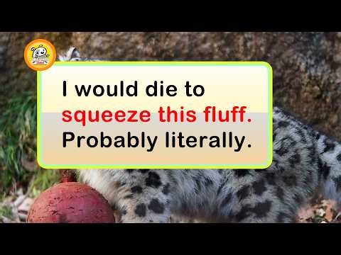 Photos That Show the True Size of Things (Absolute Units)