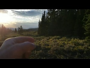 Amazing Sasquatch Vocalizations Recorded in British Columbia