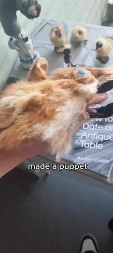 Create Your Own Hand Puppet: Fun Crafting Guide