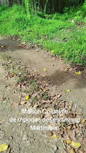 Vidéos de Ra-star (@rastar67) avec Brand New Gun - Skillibeng