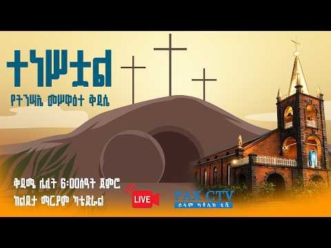 የትንሳኤ መሥዋዕተ ቅዳሴ ቀጥታ ስርጭት ከልደታ ማርያም ካቴድራል | | Live Mass from the Nativity Catholic Cathedral A.A.