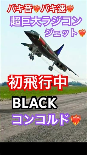 バキ音❤️‍🔥バキ速❤️‍🔥超巨大ラジコン❤️‍🔥ジェット❤️‍🔥BLACK❤️‍🔥コンコルド❤️‍🔥初飛行中❤️‍🔥 2026年3月22日