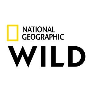 Смотреть National Geographic Wild HD онлайн в хорошем качестве.