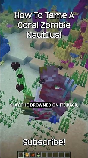 How To Tame A Coral Zombie Nautilus In Minecraft?!