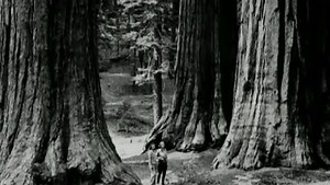 What Makes Ken Burns’s Films Unique?