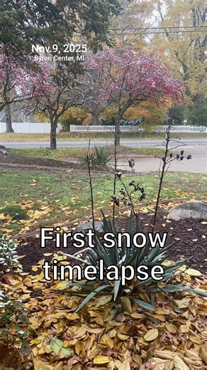 First snow of the season timelapse