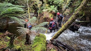 Search of fast-moving water at Philosopher Falls fails to reveal trace of missing tourist Celine Cremer