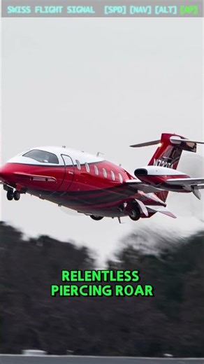 The Plane Too LOUD to Fly