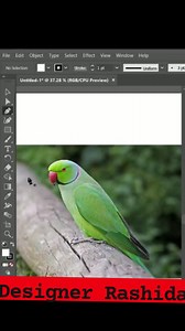 Parrot logo design in adobe illustrator #parrot #logo #facebookreel #viralreelschallenge #foryouシ | Rashida Khatun 0.1