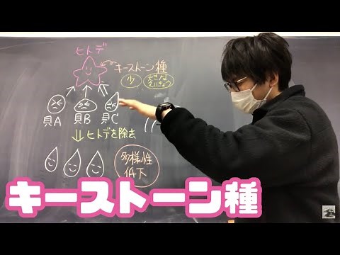 キーストーン種　高校生物基礎
