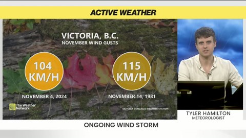 Major wind storm ongoing across the South Coast of B.C.