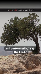 232K views · 3.1K reactions | Ezekiel 37:9-14 speaks of the dry bones...
