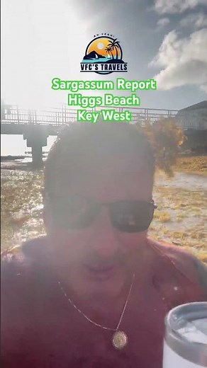 Spring Break Sargassum Key West