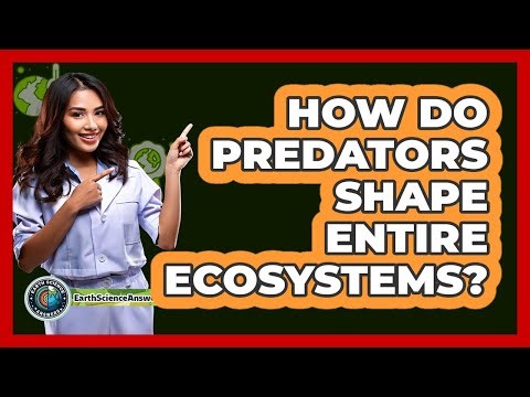 How Do Predators Shape Entire Ecosystems? - Earth Science Answers