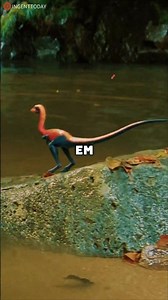 Red Compsognathus 😯