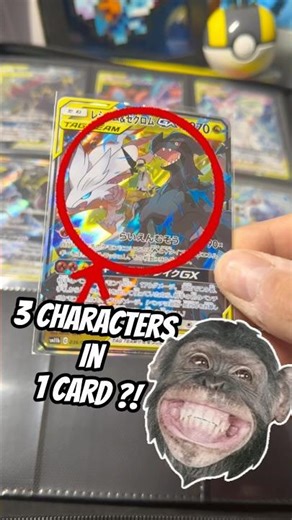 LWe love a nice 3-in-1 card 🤩 Binder Builder Episode 101 📗