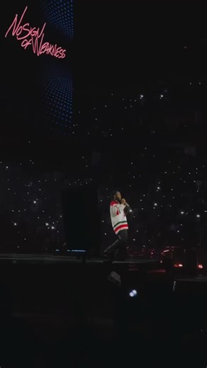 Everything @burnaboygram on Instagram: "Burna Boy performing “Jerusalema” live at the Prudential Center, Newark NJ🔥 @prucenter 📸 @yb_captures #BURNABOY #NOSIGNOFWEAKNESSTOUR"