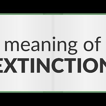 Extinction | meaning of Extinction