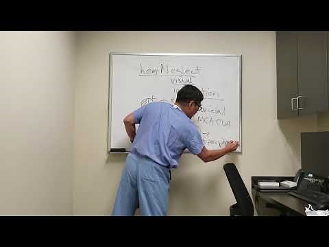 Neglect and Hemineglect