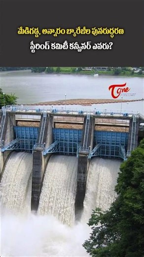 Kaleshwaram Project Revival | Steering Committee & Restoration Roadmap 2026 #ytshorts #upsc