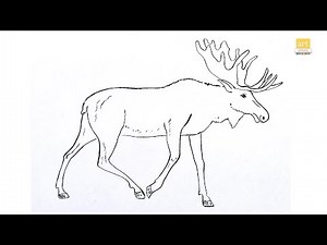 How to draw A Moose drawing step by step II Draw A Moose drawing II part 01 II #artjanag