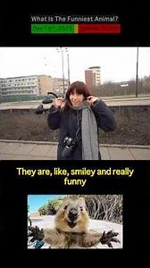 What Is The Funniest Animal? [QTD Episode 137]