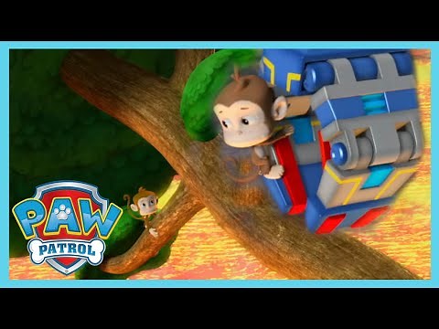 Paw Patrol - The Floor Is Lava | Cartoons for Kids | WildBrain Toons