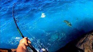 46K views · 1.1K reactions | Solo Life on an Island - Catch and Cook!  #outdoor #catchandcook #island | Gido’s Fishing Adventures | Facebook