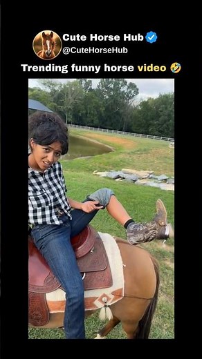 Trending funny horse video 🤣