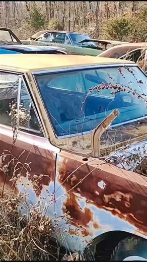 ♥️🚘 This Is A Dart Swinger They Found And Yes They Are Pretty Rare Unless You Know Car Collectors In The Chicagoland Area...They Keep It Quiet For Obvious Reasons...The Second Picture Is Of One That Is Running 😎