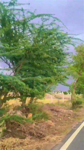 Peaceful Rain Ride Under Blue Sky 🌧️🏍️ | Nature Vibes | Relaxing Bike Ride